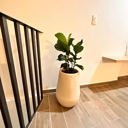 Old City New Duplex With Roof & Pool * Cartagena